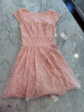 B Darlin Pink Lace Fit-and-Flare Mini Dress